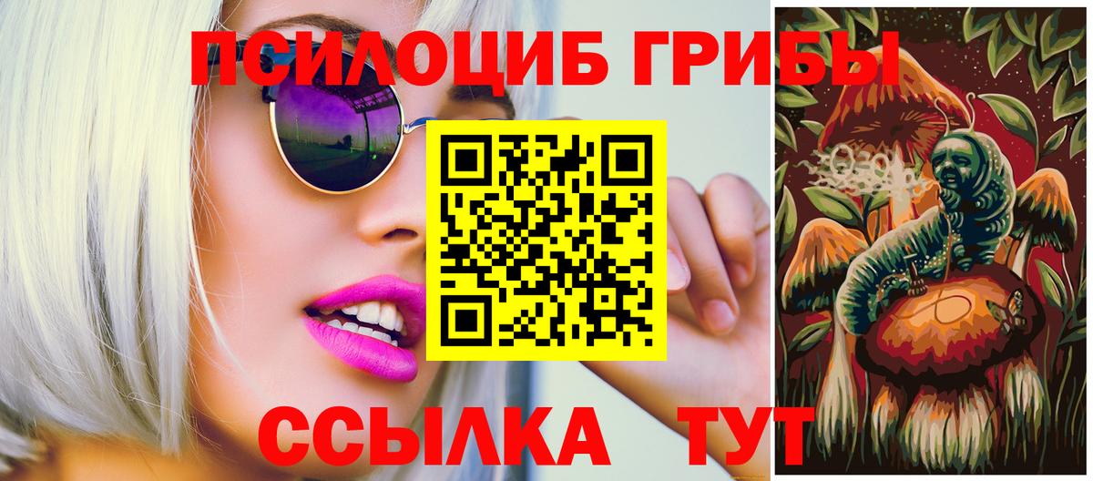 Псилоцибиновые грибы Psilocybine cubensis Каспийск